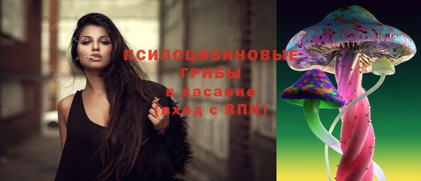 скорость Богородск