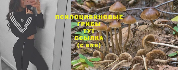 COCAINE Богданович