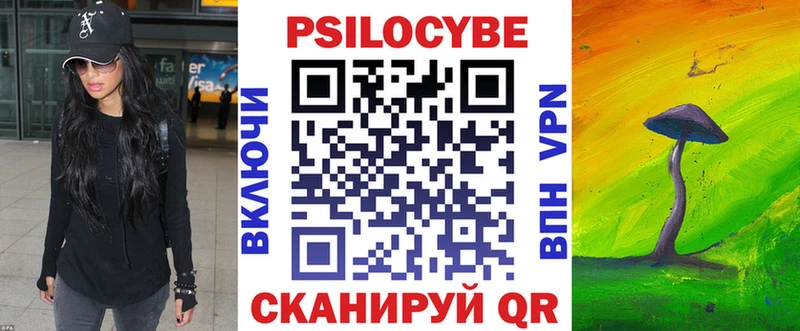 darknet какой сайт  OMG ТОР  Галлюциногенные грибы Psilocybine cubensis  Хабаровск  где можно купить  